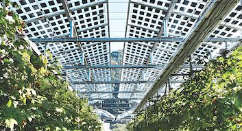 Laatste bedrijfsblogs Italië publiceert nieuwe regelgeving over de selectie van locaties voor zonneprojecten en fiscale stimulansen voor zonne-energie